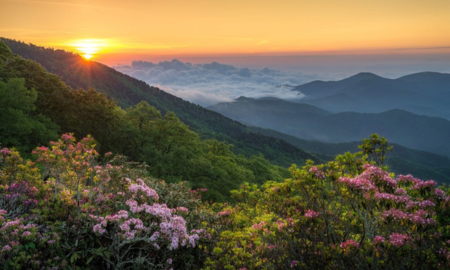 Untitled design (34)