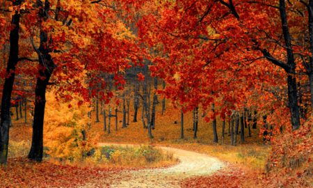 Untitled design (35)